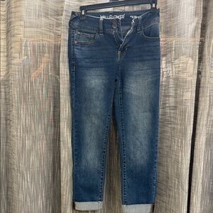 Like New Wallflower Women's Deep Blue Cropped Jeans